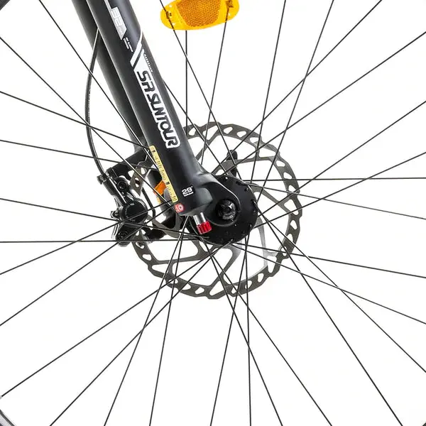 TREKKING – CROSS COUNTRY SMART Bicicletta Elettrica | ECONIC ONE | Batteria Panasonic 460 Wh | AUTONOMIA Max 100 Km | FRENI Idraulici Shimano Deore BR M6100 | PNEUMATICI Vittoria E-Barzo 29" 2,35"