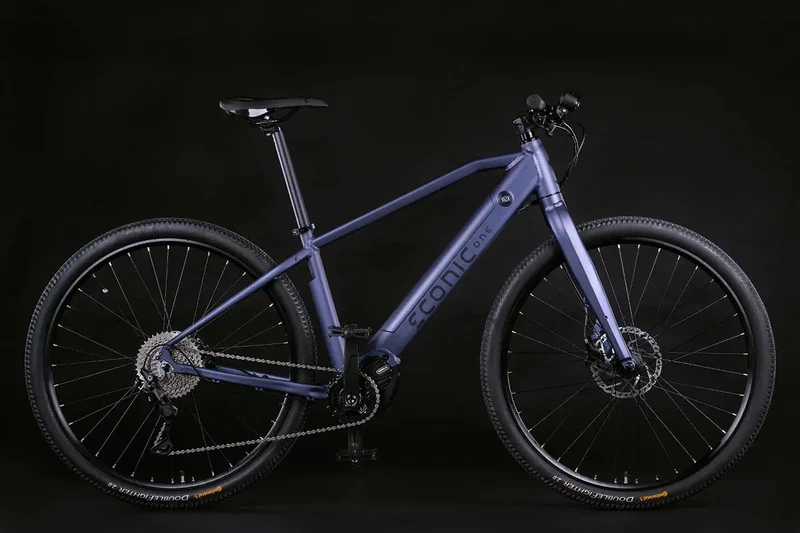 GRAVEL – BANDIT SMART Bicicletta Elettrica | ECONIC ONE | Batteria Panasonic 460 Wh | AUTONOMIA Max 100 Km | FRENI Idraulici Shimano Deore BR MT201 | PNEUMATICI Vittoria Evolution 29" 1,90"