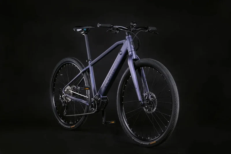 GRAVEL – BANDIT SMART Bicicletta Elettrica | ECONIC ONE | Batteria Panasonic 460 Wh | AUTONOMIA Max 100 Km | FRENI Idraulici Shimano Deore BR MT201 | PNEUMATICI Vittoria Evolution 29" 1,90"