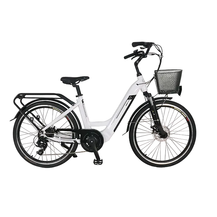 SMART WAY C5 Bicicletta Elettrica | CITY BIKE UNISEX E-bike FAT BIKE | MOTORE 250 W | 36V 10,4Ah | AUTONOMIA 40/45 km | RUOTE 26"x 1,95"
