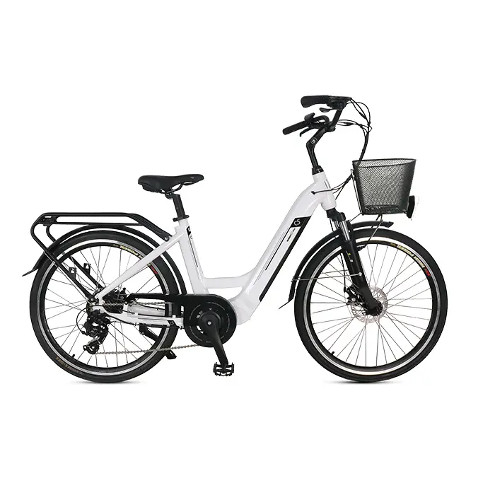 SMART WAY C5 Bicicletta Elettrica | CITY BIKE UNISEX E-bike FAT BIKE | MOTORE 250 W | 36V 10,4Ah | AUTONOMIA 40/45 km | RUOTE 26"x 1,95"