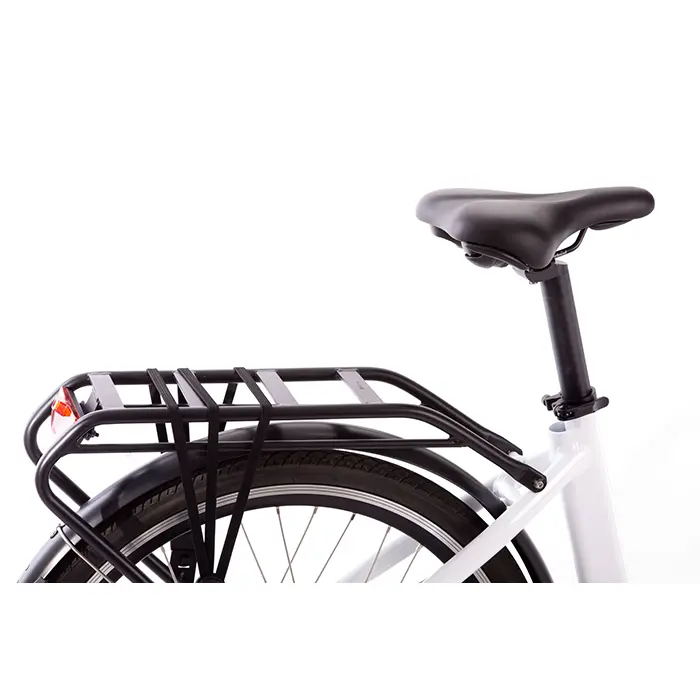 SMART WAY C5 Bicicletta Elettrica | CITY BIKE UNISEX E-bike FAT BIKE | MOTORE 250 W | 36V 10,4Ah | AUTONOMIA 40/45 km | RUOTE 26"x 1,95"