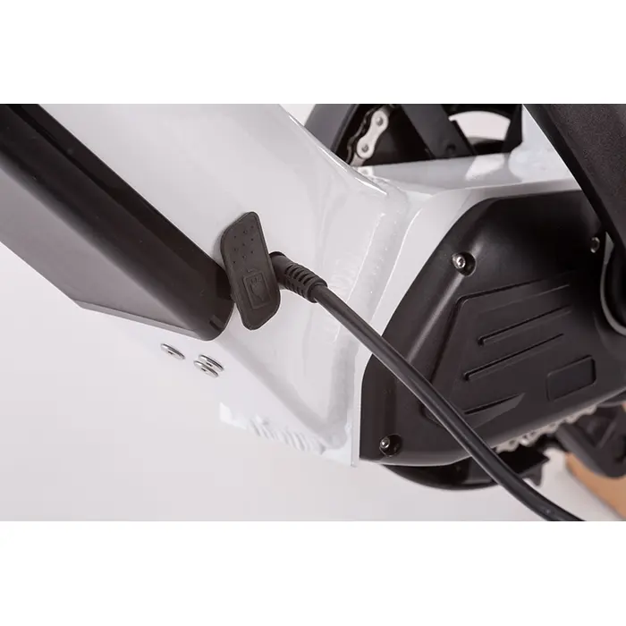 SMART WAY C5 Bicicletta Elettrica | CITY BIKE UNISEX E-bike FAT BIKE | MOTORE 250 W | 36V 10,4Ah | AUTONOMIA 40/45 km | RUOTE 26"x 1,95"