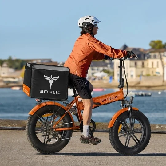 ENGWE EP-2 Boost 20" EU Legal Folding Electric Bike 250W Motor 48V 13Ah Battery