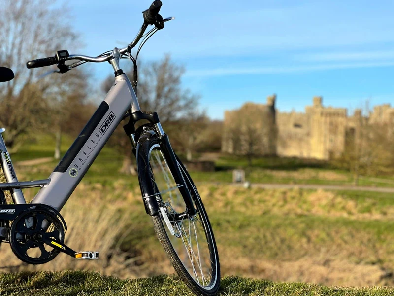 Dallingridge Harlow Step-Through Electric Bike