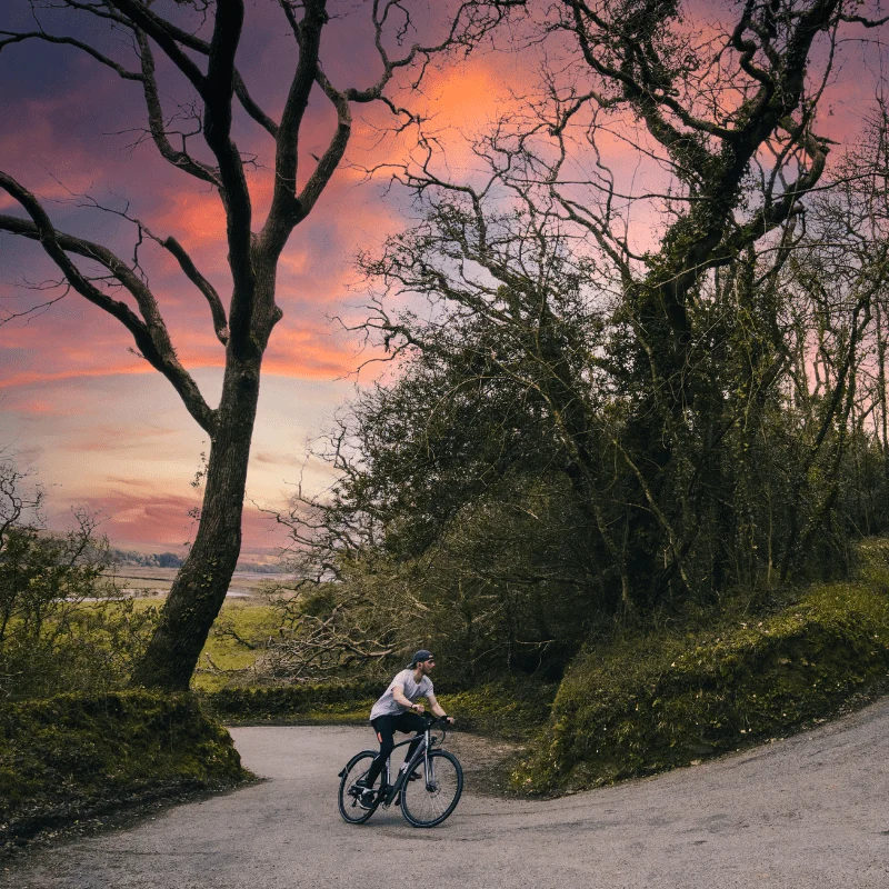 Emu Evo Crossbar Electric Bike