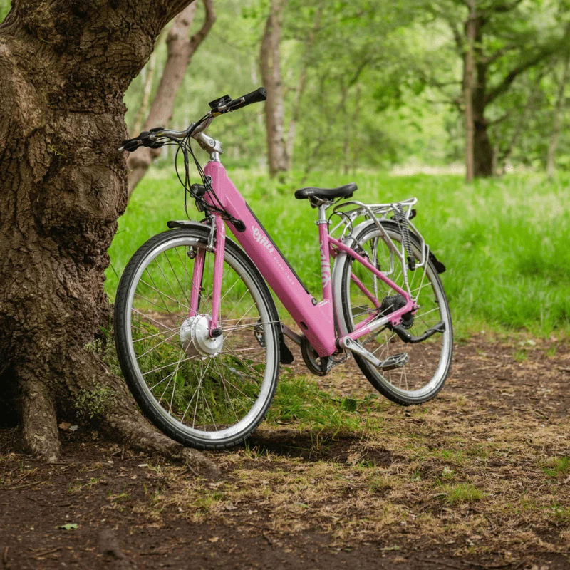 Emu Classic Step-Through Electric Bike