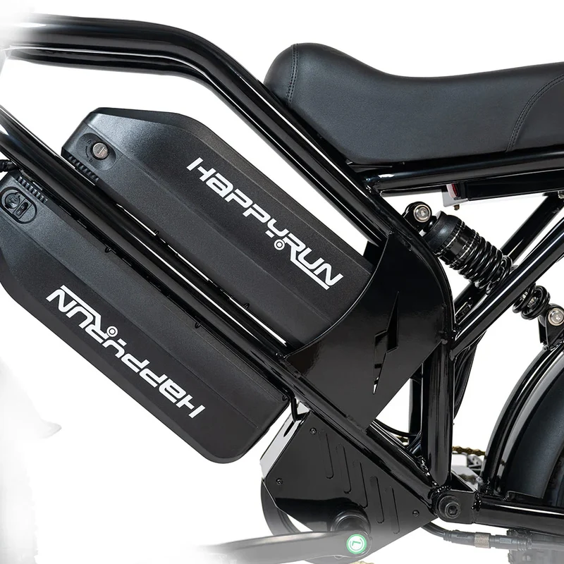 HAPPYRUN G70 20" Electric Cargo Bike 2000W Peak Motor 48V 38Ah Battery
