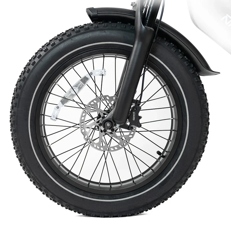 HAPPYRUN G70 20" Electric Cargo Bike 2000W Peak Motor 48V 38Ah Battery