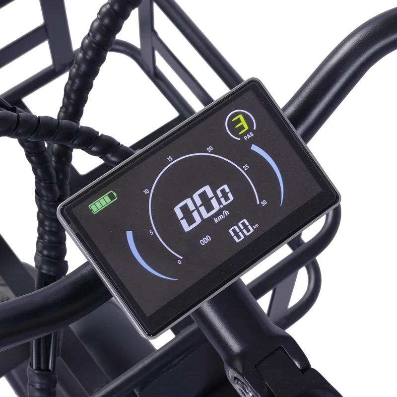 GOGOBEST GF200 20" Electric City Cargo Ebike 500W Motor 48V 15.6Ah Battery