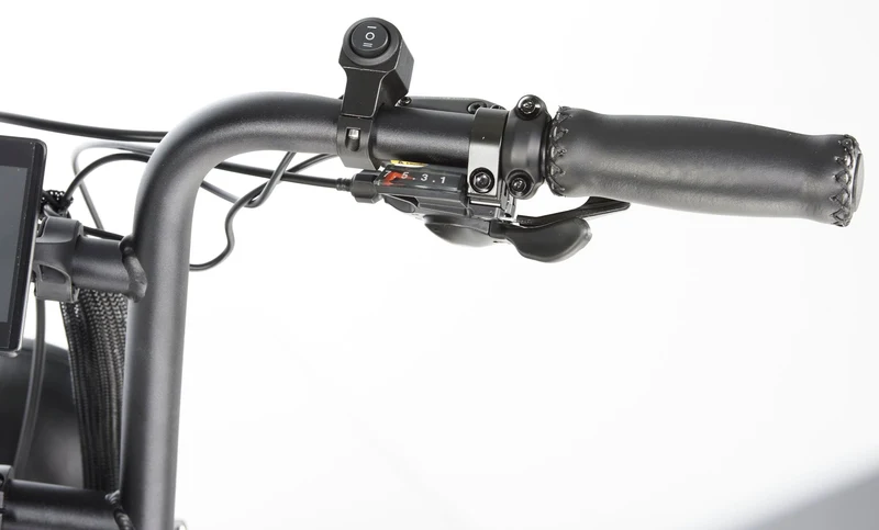 Synch Longtail Monkey Fat Tyre 250w Electric Bike