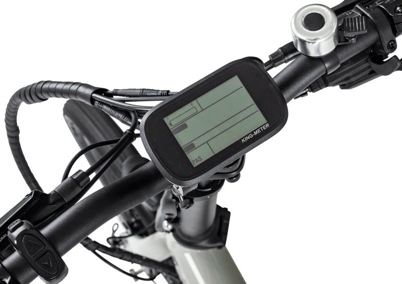Forme Buxton Pro E Folding Electric Bike