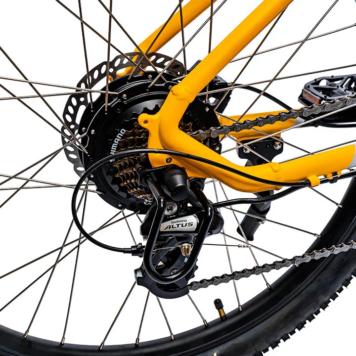 Ampere X-Trail Electric Mountain Bike