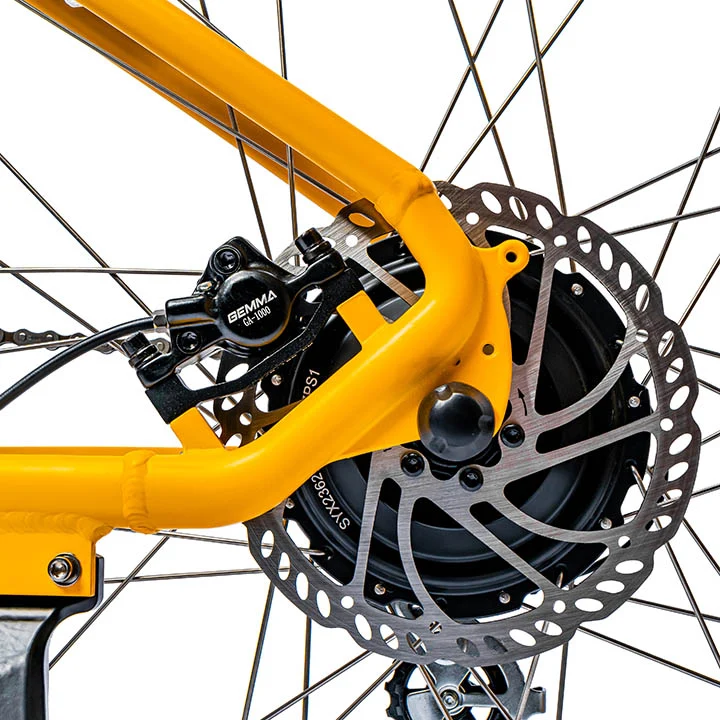 Ampere X-Trail Electric Mountain Bike