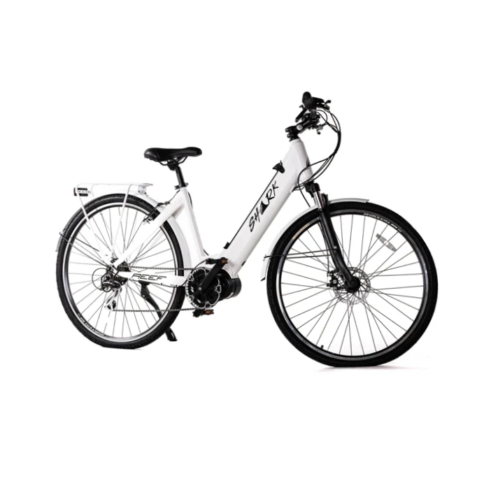 Shark Reef Electric Bike