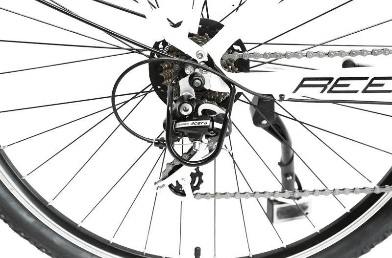 Shark Reef Electric Bike