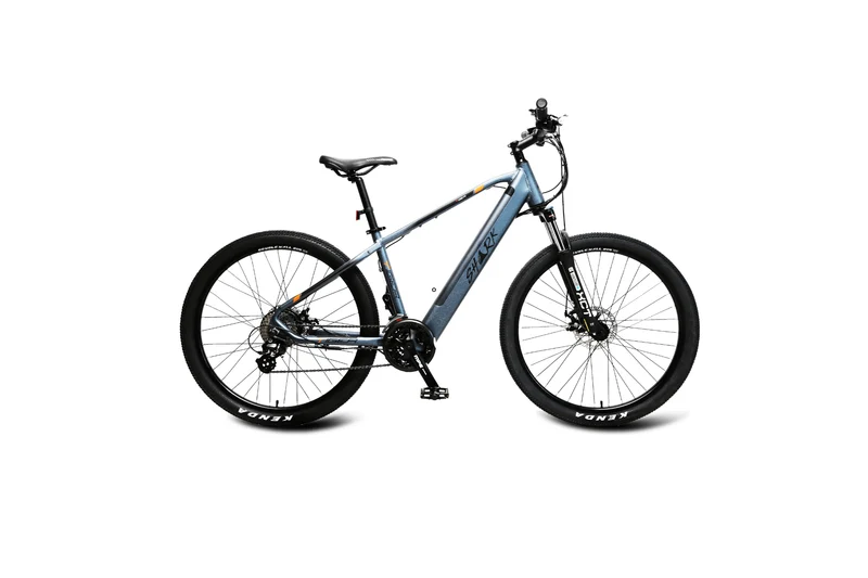 Shark Tiger Electric Bike