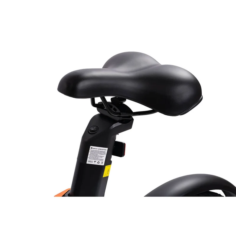 Bicicletta elettrica Kukirin (Kugoo Kirin) V2