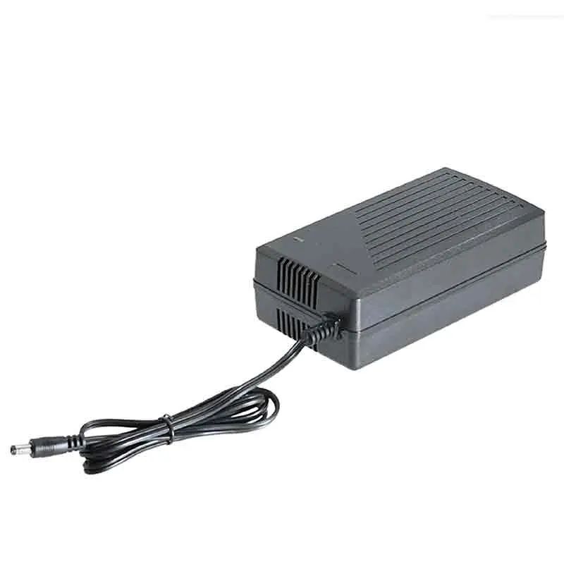 CARICABATTERIA VELOCE 24V/36V/48V LITIO compatibile con Ebike