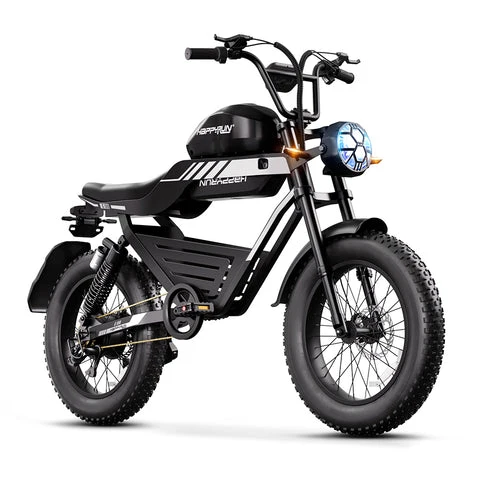 HAPPYRUN G100 Fat Tire Electric Bikes 2000W Peak Motor 38Ah Dual Batteries