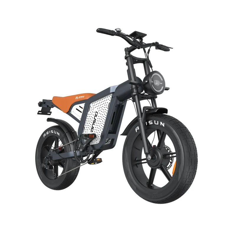 JANSNO X60 20" Fat Tires Electric Bikes 750W*2 Dual Motor 48V 23Ah Battery