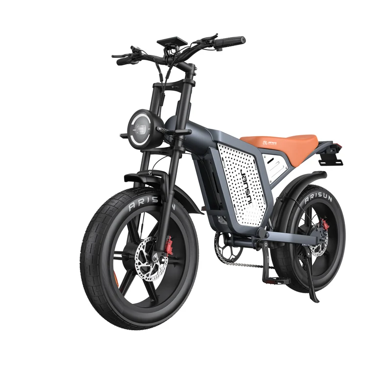 JANSNO X60 20" Fat Tires Electric Bikes 750W*2 Dual Motor 48V 23Ah Battery
