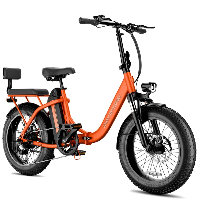 LUCKEEP C23 20" Folding Electric Bike 750W Motor 48V 13Ah Battery