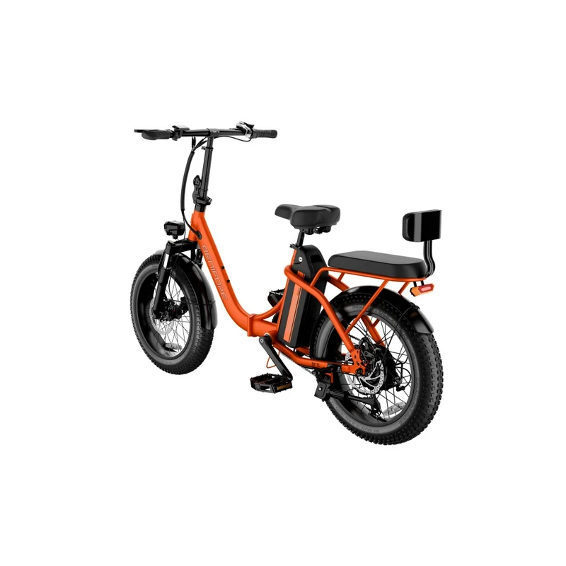 LUCKEEP C23 20" Folding Electric Bike 750W Motor 48V 13Ah Battery