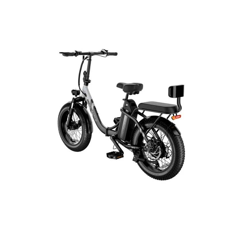 LUCKEEP C23 20" Folding Electric Bike 750W Motor 48V 13Ah Battery