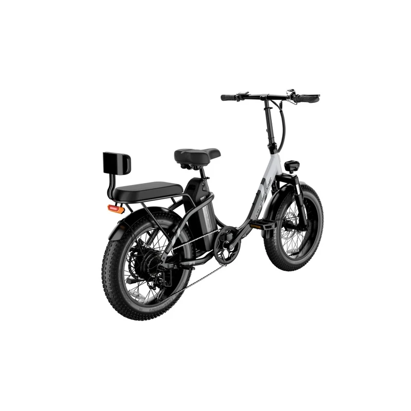 LUCKEEP C23 20" Folding Electric Bike 750W Motor 48V 13Ah Battery