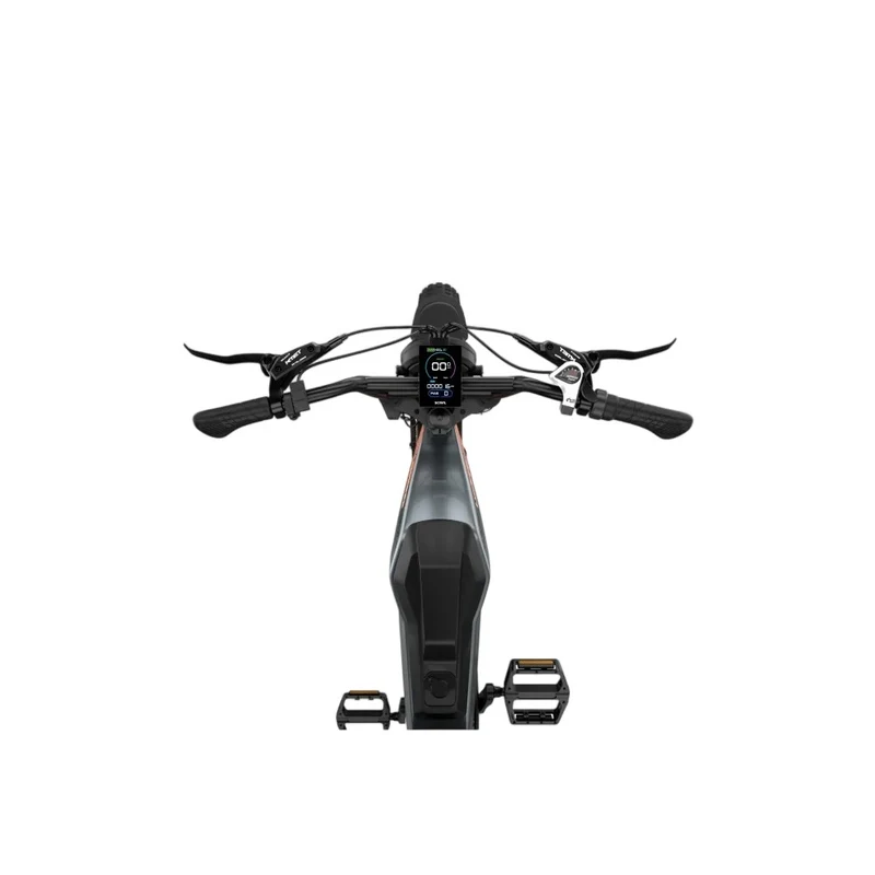 LUCKEEP M5 Max 20" Off Road Electric Bike 1500W Motor 52V 20Ah/40Ah Battery