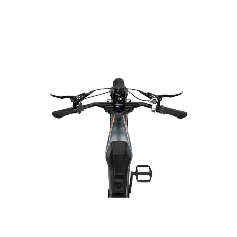 LUCKEEP M5 20" Off Road Electric Bike 1000W Motor 48V 15Ah/35Ah Battery