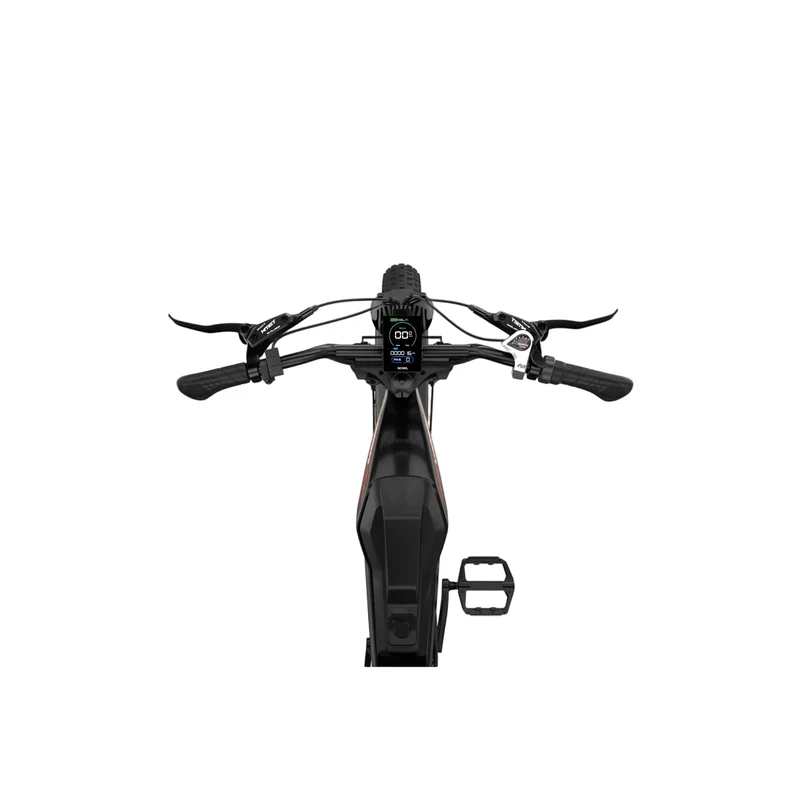 LUCKEEP M5 20" Off Road Electric Bike 1000W Motor 48V 15Ah/35Ah Battery
