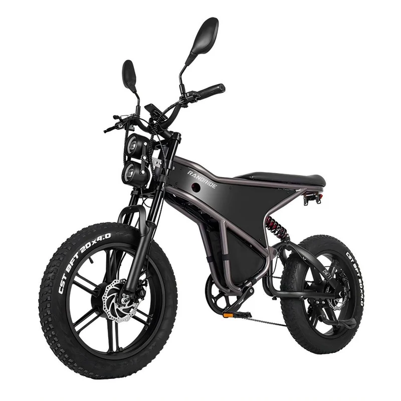 RANDRIDE DM711 20" Retro Fat Tire Electric Bike 1000W*2 Dual Motors 48V 20Ah Battery