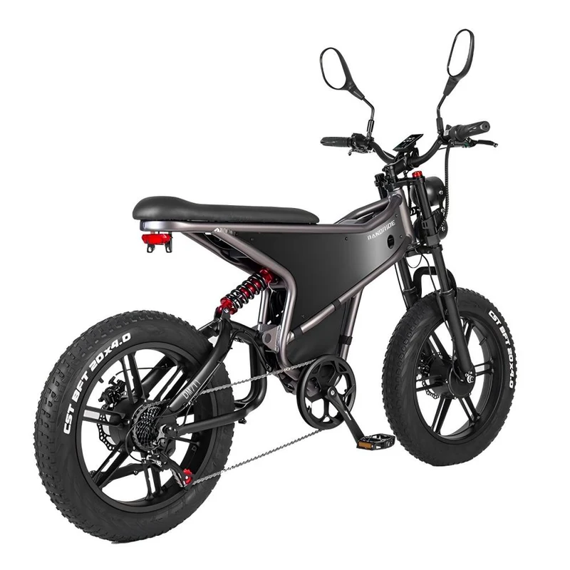 RANDRIDE DM711 20" Retro Fat Tire Electric Bike 1000W*2 Dual Motors 48V 20Ah Battery