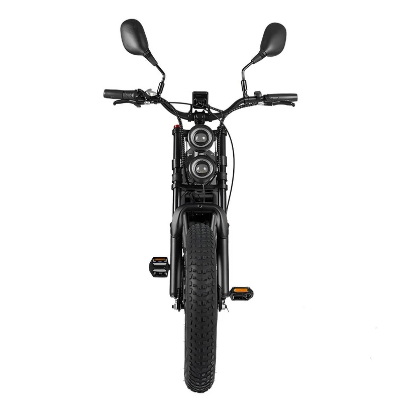 RANDRIDE DM711 20" Retro Fat Tire Electric Bike 1000W*2 Dual Motors 48V 20Ah Battery