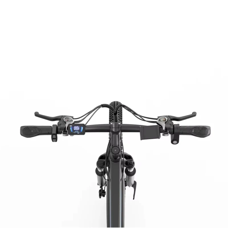 RIDSTAR S29 Pro 29" Mountain Electric Bike 1000W Motor 48V 21Ah Battery