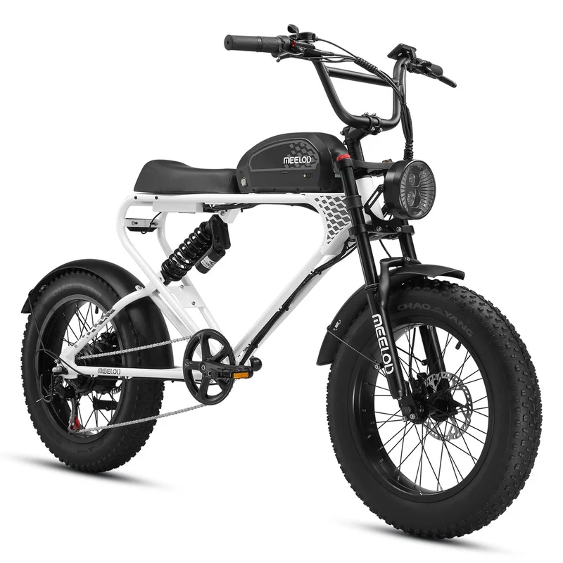 MEELOD DK300 PLUS 20" Retro Moped Style Electric Bike 1200W Peak Motor 48V 20Ah Battery