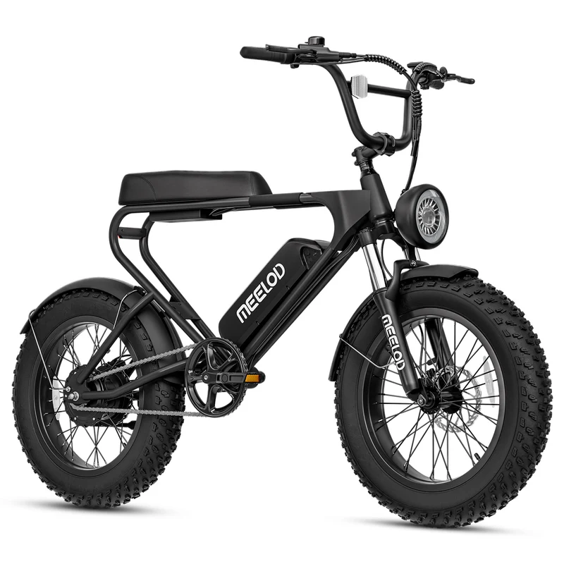 MEELOD DK200SE 20" Retro Moped Style Electric Bike 750W Motor 48V 13Ah Battery (US Version)