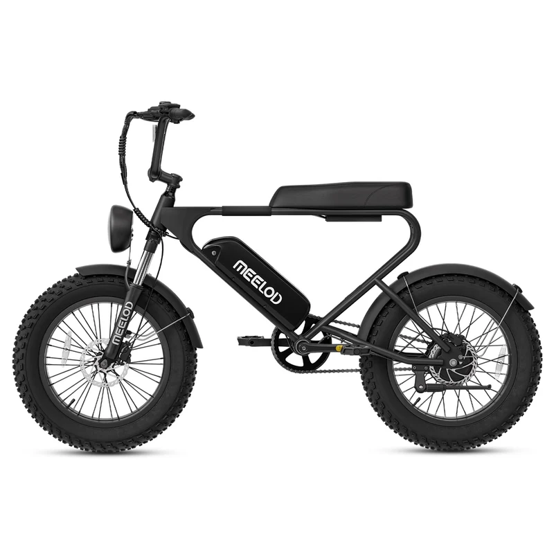 MEELOD DK200SE 20" Retro Moped Style Electric Bike 750W Motor 48V 13Ah Battery (US Version)