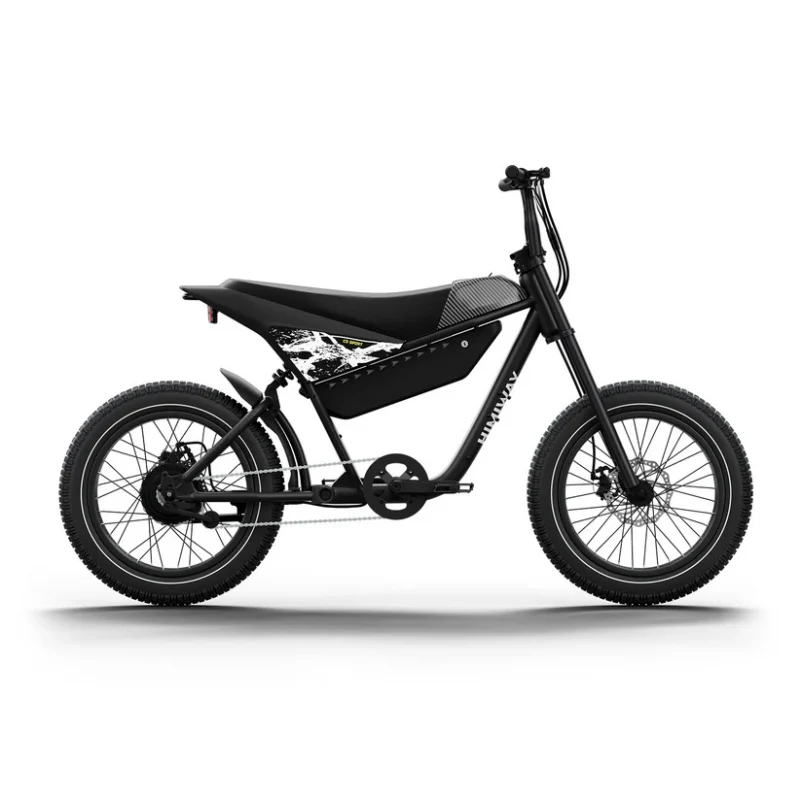 HIMIWAY C5 20" Sport Version Electric Bike 750W (US)/ 250W (EU) Motor 48V 20Ah Battery