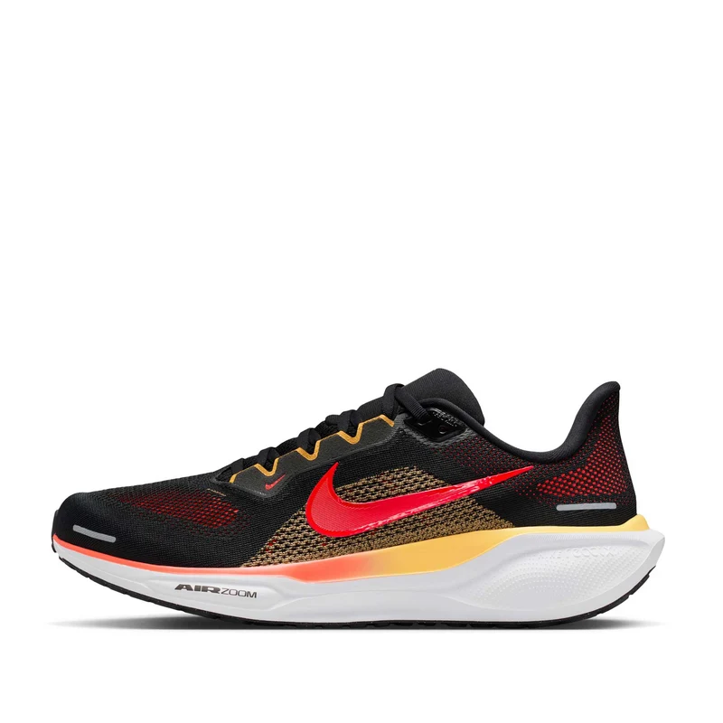 Pegasus 41