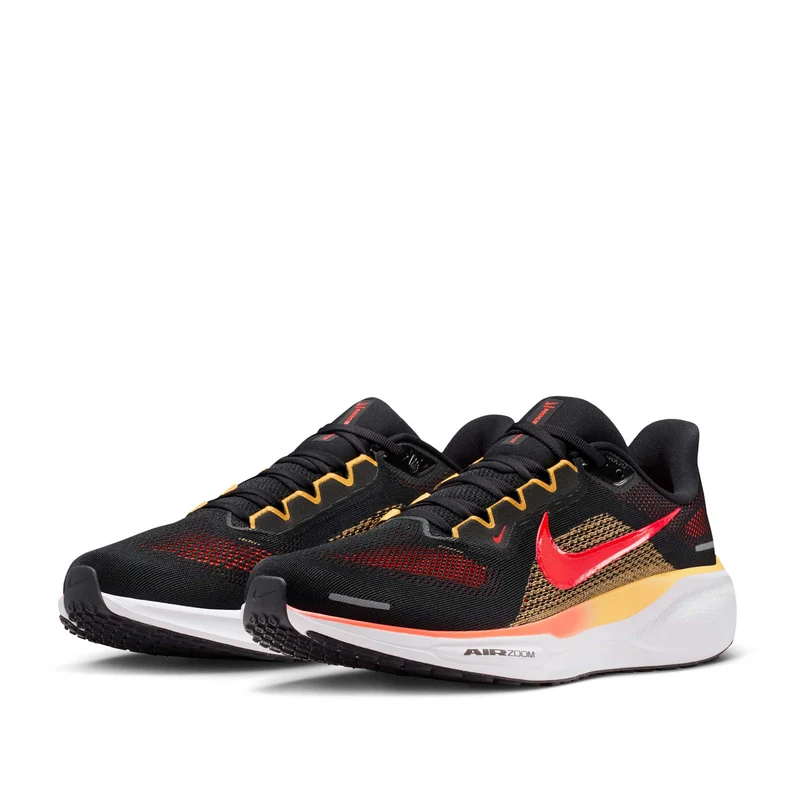 Pegasus 41