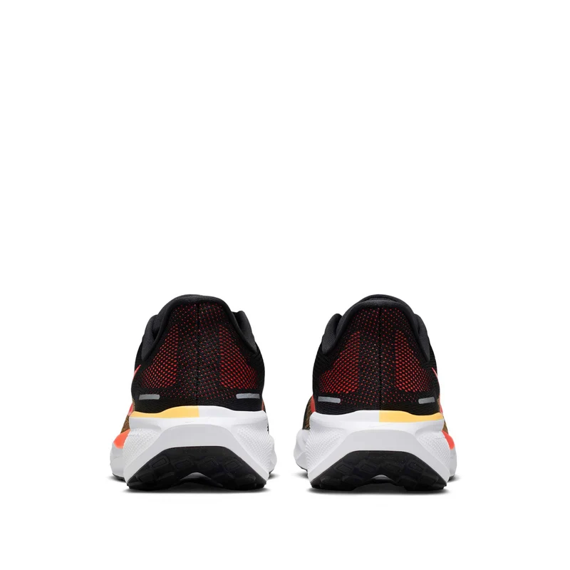 Pegasus 41