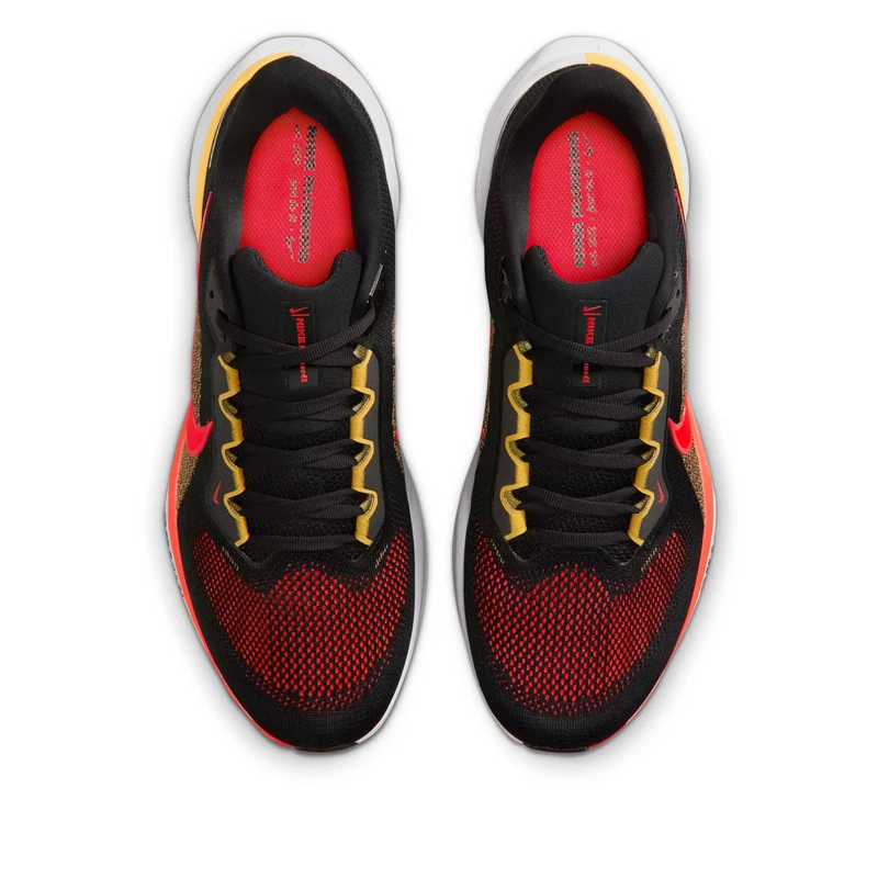 Pegasus 41