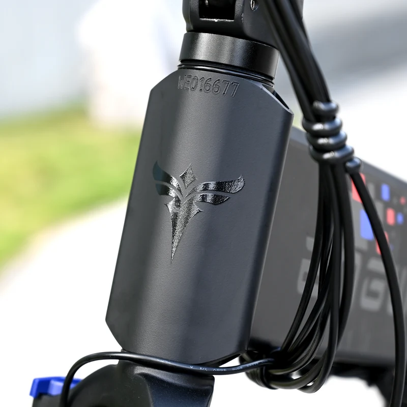 ENGWE ENGINE X | Bicicletta elettrica | Motore 250W | 48V 13AH | Autonomia 90km | GARANZIA ITALIANA