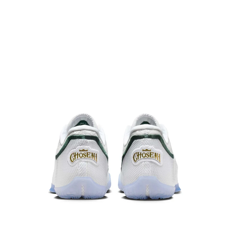 Lebron Xxiii
