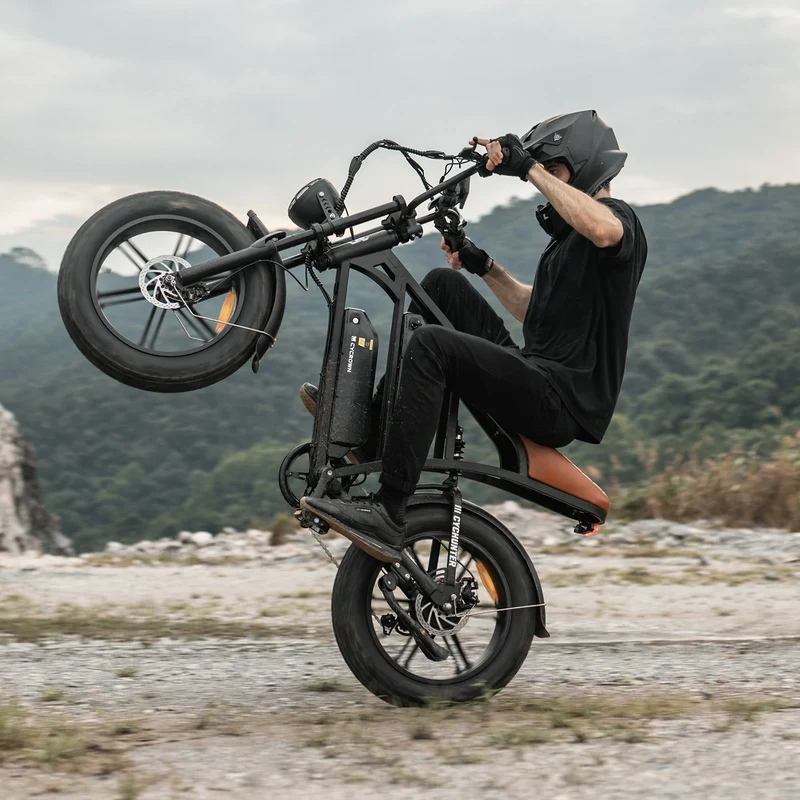 CYCROWN Hunter 20" Off Road Electric Bike 750W Motor 48V 26Ah Dual Batteries