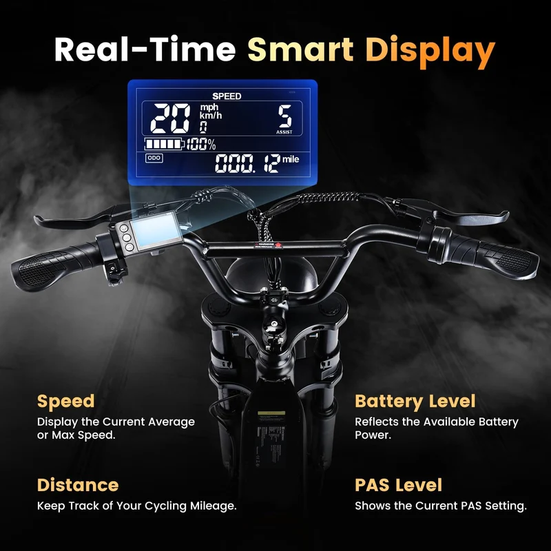 CYCROWN Run 20" Retro Fat Tire Off Road Mountain Electric Bike 750W Motor 36V 10.4Ah Battery