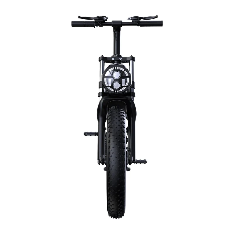 PHNHOLUN C8 20" Off Road Electric Bike 1500W Motor 48V 20Ah Battery